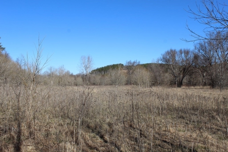 219-Acre Paradise: Timber Investment Meets Outdoor Haven, VA - image 5