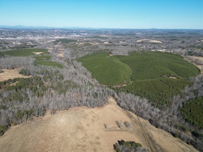 219-Acre Paradise: Timber Investment Meets Outdoor Haven, VA - image 1
