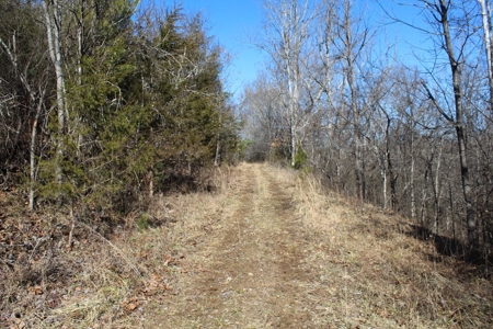 219-Acre Paradise: Timber Investment Meets Outdoor Haven, VA - image 11