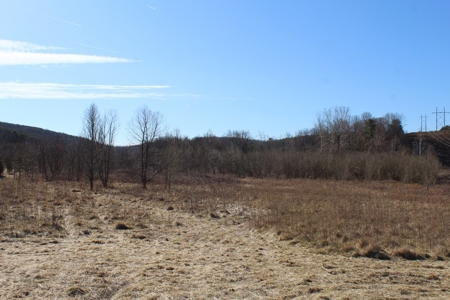 219-Acre Paradise: Timber Investment Meets Outdoor Haven, VA - image 2