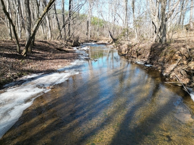 219-Acre Paradise: Timber Investment Meets Outdoor Haven, VA - image 26