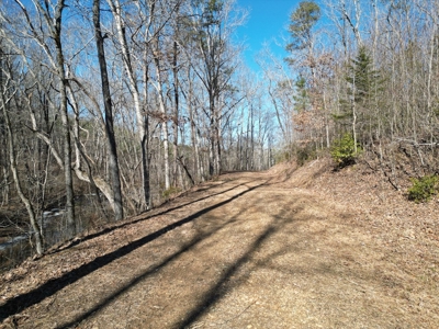219-Acre Paradise: Timber Investment Meets Outdoor Haven, VA - image 25