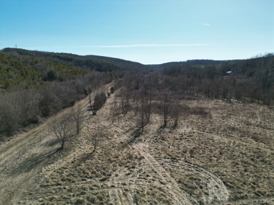 219-Acre Paradise: Timber Investment Meets Outdoor Haven, VA - image 28
