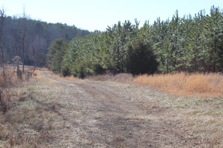 219-Acre Paradise: Timber Investment Meets Outdoor Haven, VA - image 16