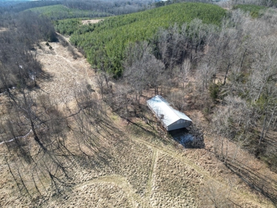 219-Acre Paradise: Timber Investment Meets Outdoor Haven, VA - image 19