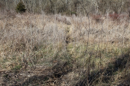 219-Acre Paradise: Timber Investment Meets Outdoor Haven, VA - image 4