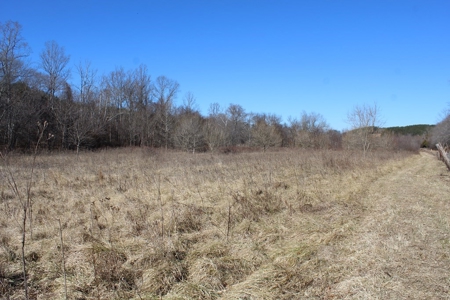 219-Acre Paradise: Timber Investment Meets Outdoor Haven, VA - image 15