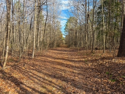 Virginia Land For Sale - image 19