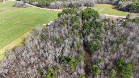 Virginia Land For Sale - image 15