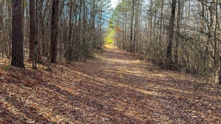 Virginia Land For Sale - image 10