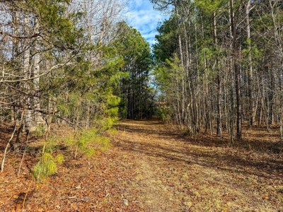 Virginia Land For Sale - image 24