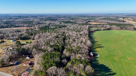 Virginia Land For Sale - image 5