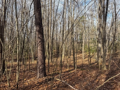 Virginia Land For Sale - image 21