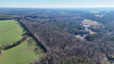Virginia Land For Sale - image 8