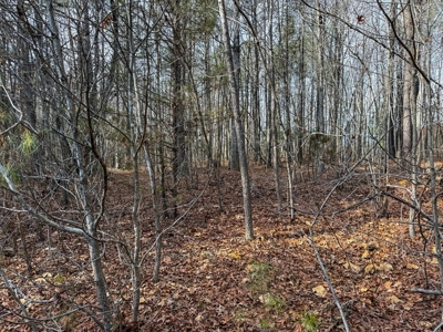 Virginia Land For Sale - image 26