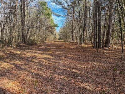 Virginia Land For Sale - image 22