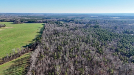 Virginia Land For Sale - image 9