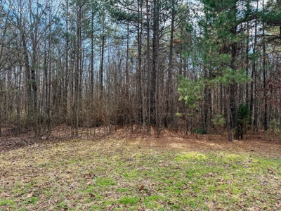 Virginia Land For Sale - image 23
