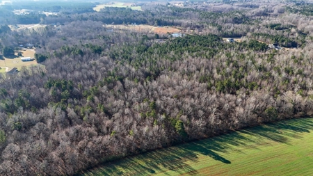 Virginia Land For Sale - image 6