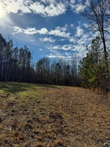 Virginia Land For Sale - image 18