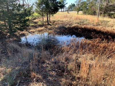 Country Home & Acreage----30,000 Sq Ft Of Bldgs - image 17