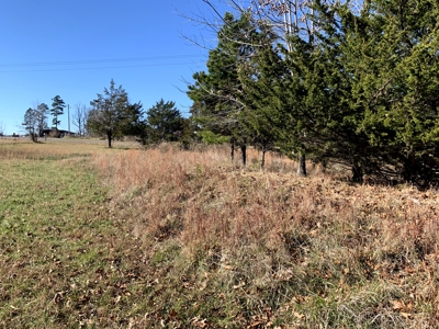 Country Home & Acreage----30,000 Sq Ft Of Bldgs - image 19