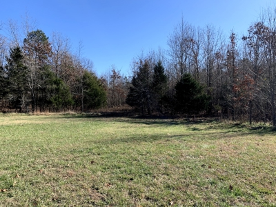 Country Home & Acreage----30,000 Sq Ft Of Bldgs - image 22