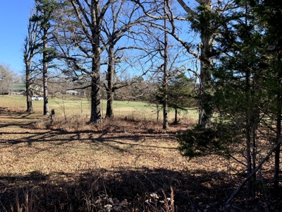 Country Home & Acreage----30,000 Sq Ft Of Bldgs - image 18