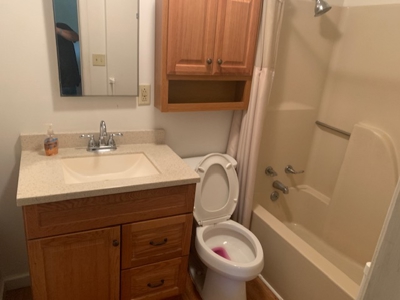 Country Home & Acreage With 30,000 Sq Ft Of Bldgs - image 41