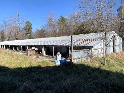 Country Home & Acreage----30,000 Sq Ft Of Bldgs - image 10
