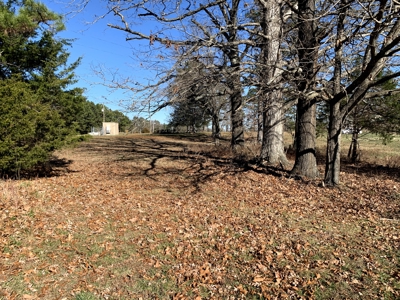 Country Home & Acreage----30,000 Sq Ft Of Bldgs - image 20