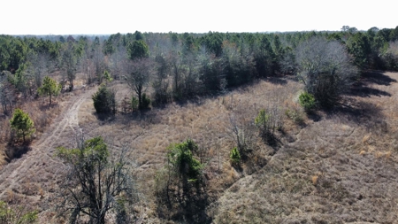 Texas Land for Sale in Winona TX East of Dallas in Smith County - image 10