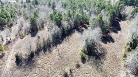 Texas Land for Sale in Winona TX East of Dallas in Smith County - image 15