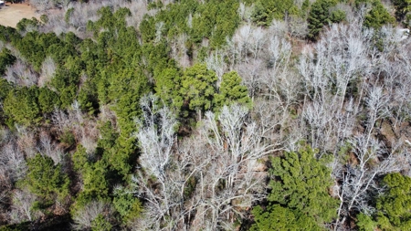 Texas Land for Sale in Winona TX East of Dallas in Smith County - image 14