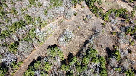 Texas Land for Sale in Winona TX East of Dallas in Smith County - image 13