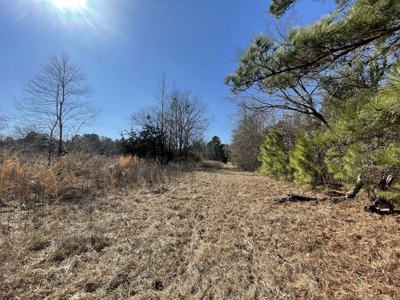 Texas Land for Sale in Winona TX East of Dallas in Smith County - image 8