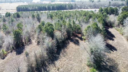 Texas Land for Sale in Winona TX East of Dallas in Smith County - image 11