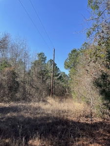 Texas Land for Sale in Winona TX East of Dallas in Smith County - image 6