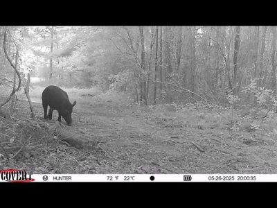 Texas Land for Sale in Winona TX East of Dallas in Smith County - image 22