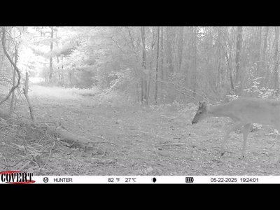 Texas Land for Sale in Winona TX East of Dallas in Smith County - image 18