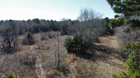 Texas Land for Sale in Winona TX East of Dallas in Smith County - image 16
