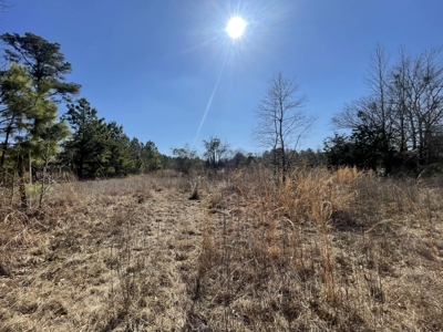Texas Land for Sale in Winona TX East of Dallas in Smith County - image 9