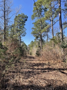 Texas Land for Sale in Winona TX East of Dallas in Smith County - image 5