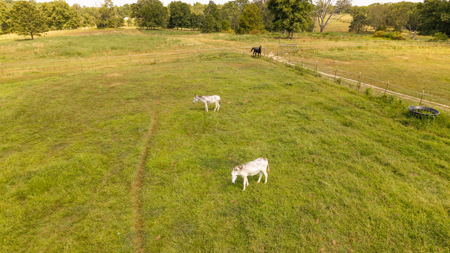 Horse Farm and Home for Sale in the Howell County Ozarks! - image 24