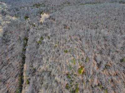 Home on acreage for sale Collins MO - image 30