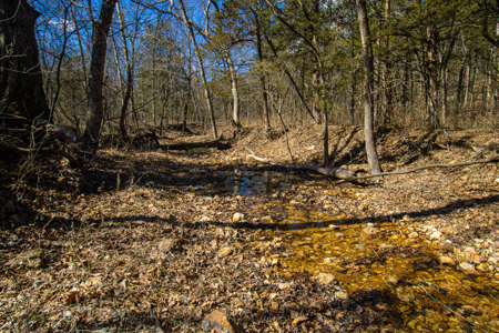Home on acreage for sale Collins MO - image 40