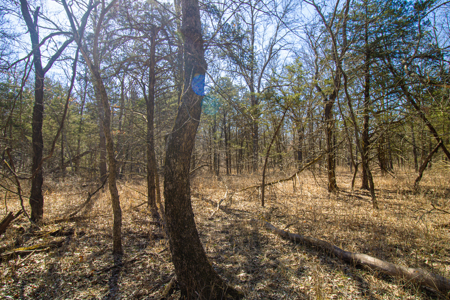 Home on acreage for sale Collins MO - image 41