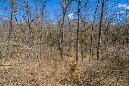 Home on acreage for sale Collins MO - image 46