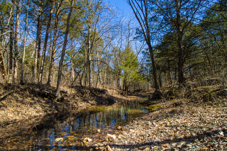 Home on acreage for sale Collins MO - image 44