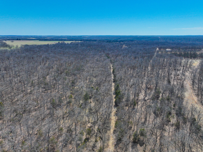 Home on acreage for sale Collins MO - image 32